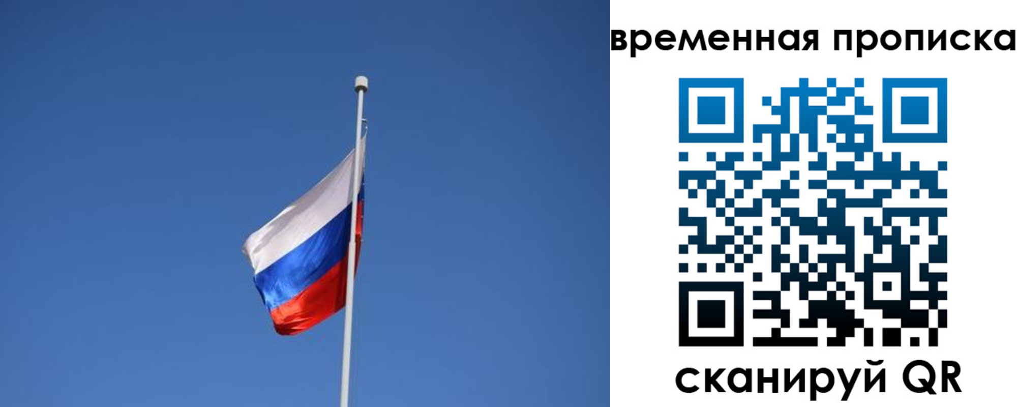 временная регистрация гарантия в Белгородской области